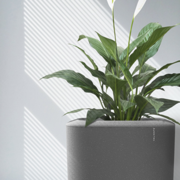 Gerecycleerde bloempotten